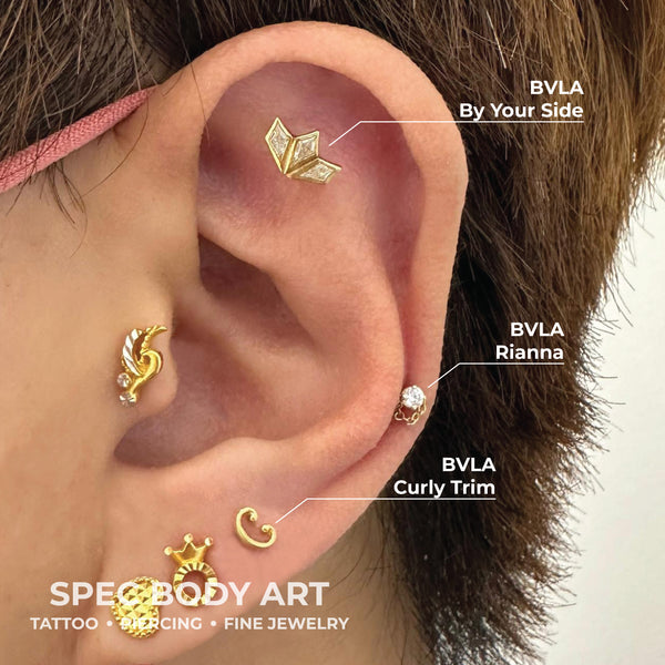 BVLA Gold By Your Side End