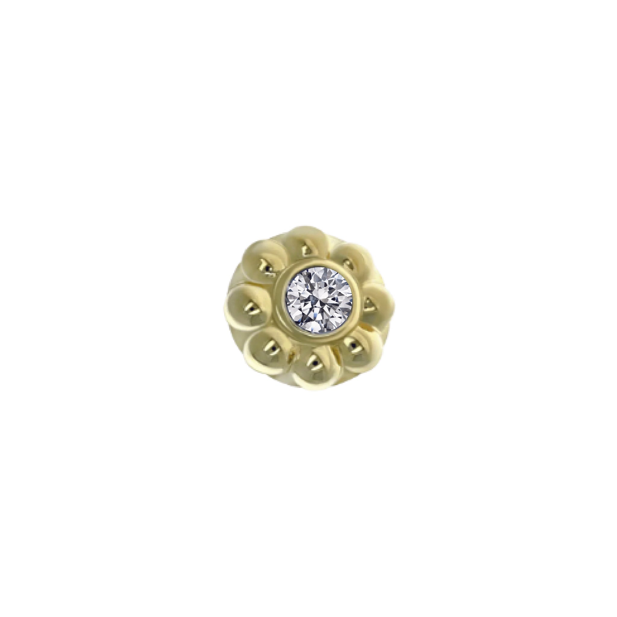 Anatometal Ipsa End