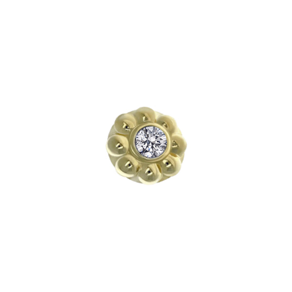 Anatometal Ipsa End