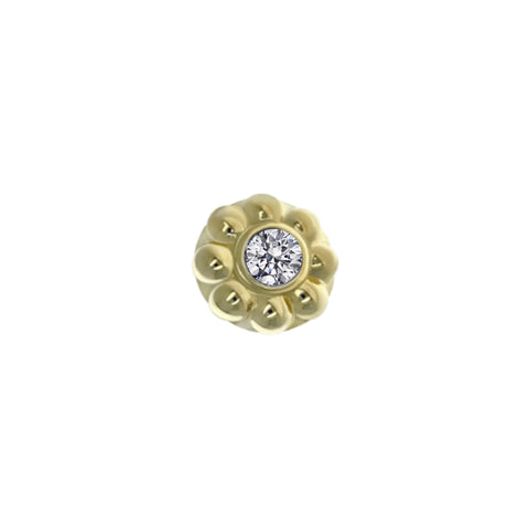 Anatometal Ipsa End