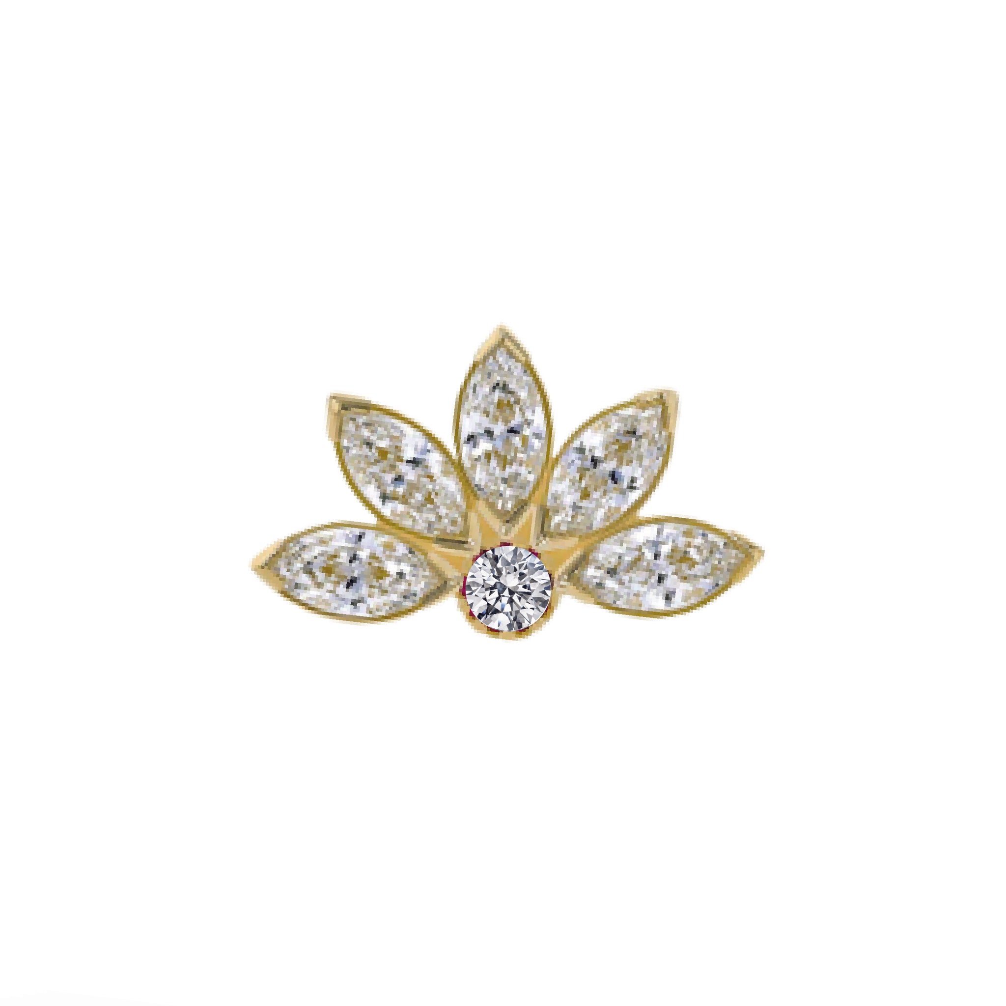 Anatometal Marquise End with Accent End - Mini