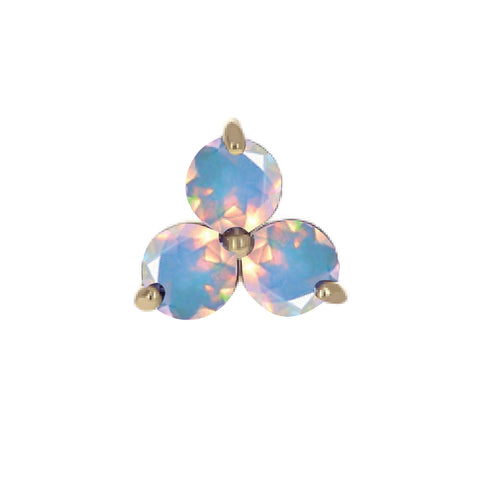Anatometal Faceted Trio End